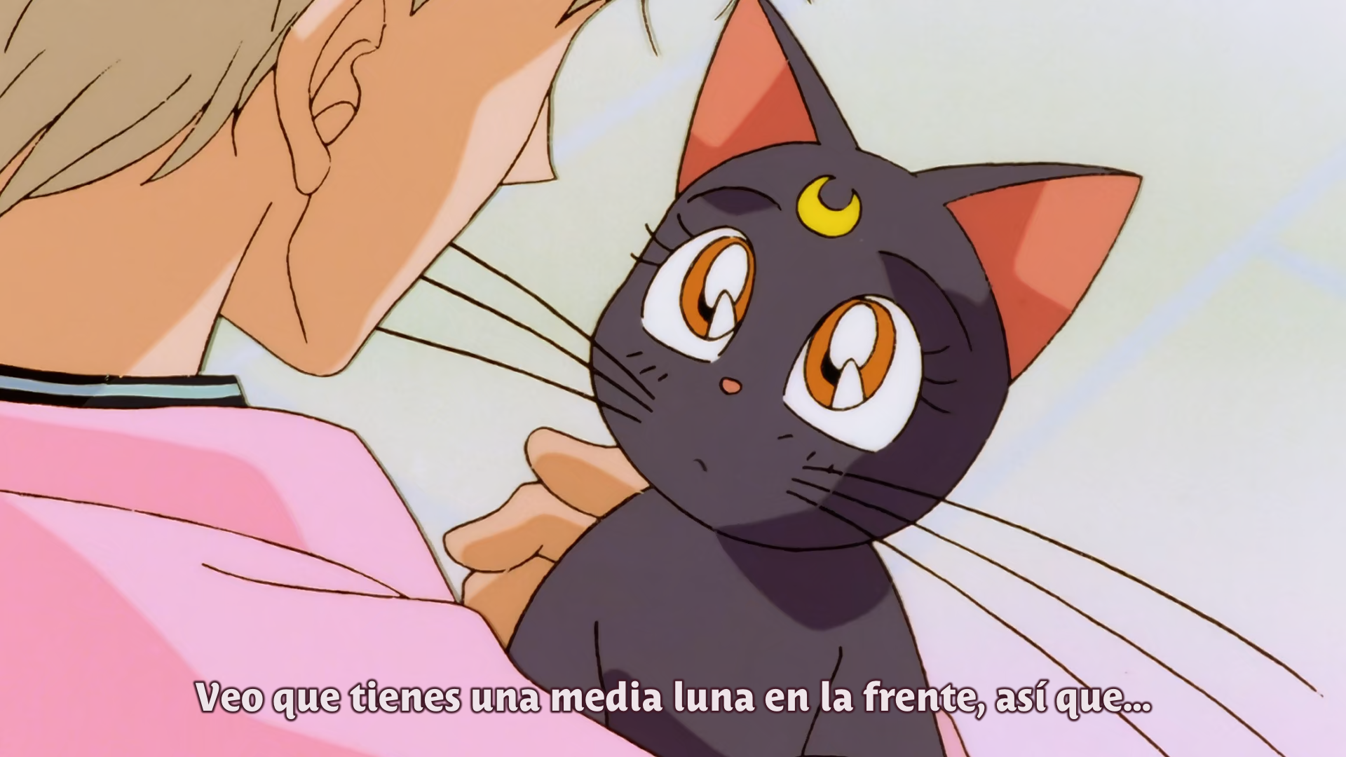 Bishoujo Senshi Sailor Moon S: Kaguya-hime no Koibito (Majo no Kuni)